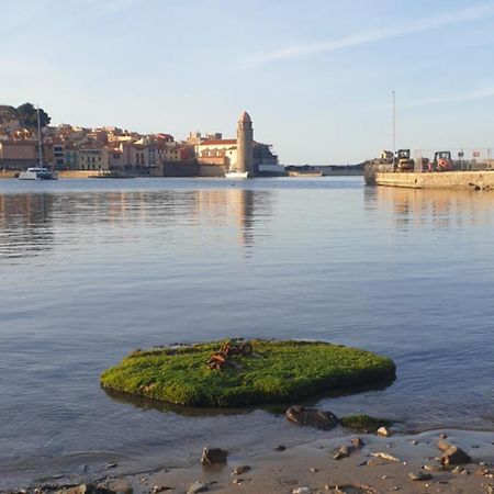 Studio Du Pecheur Apartman Collioure Kültér fotó