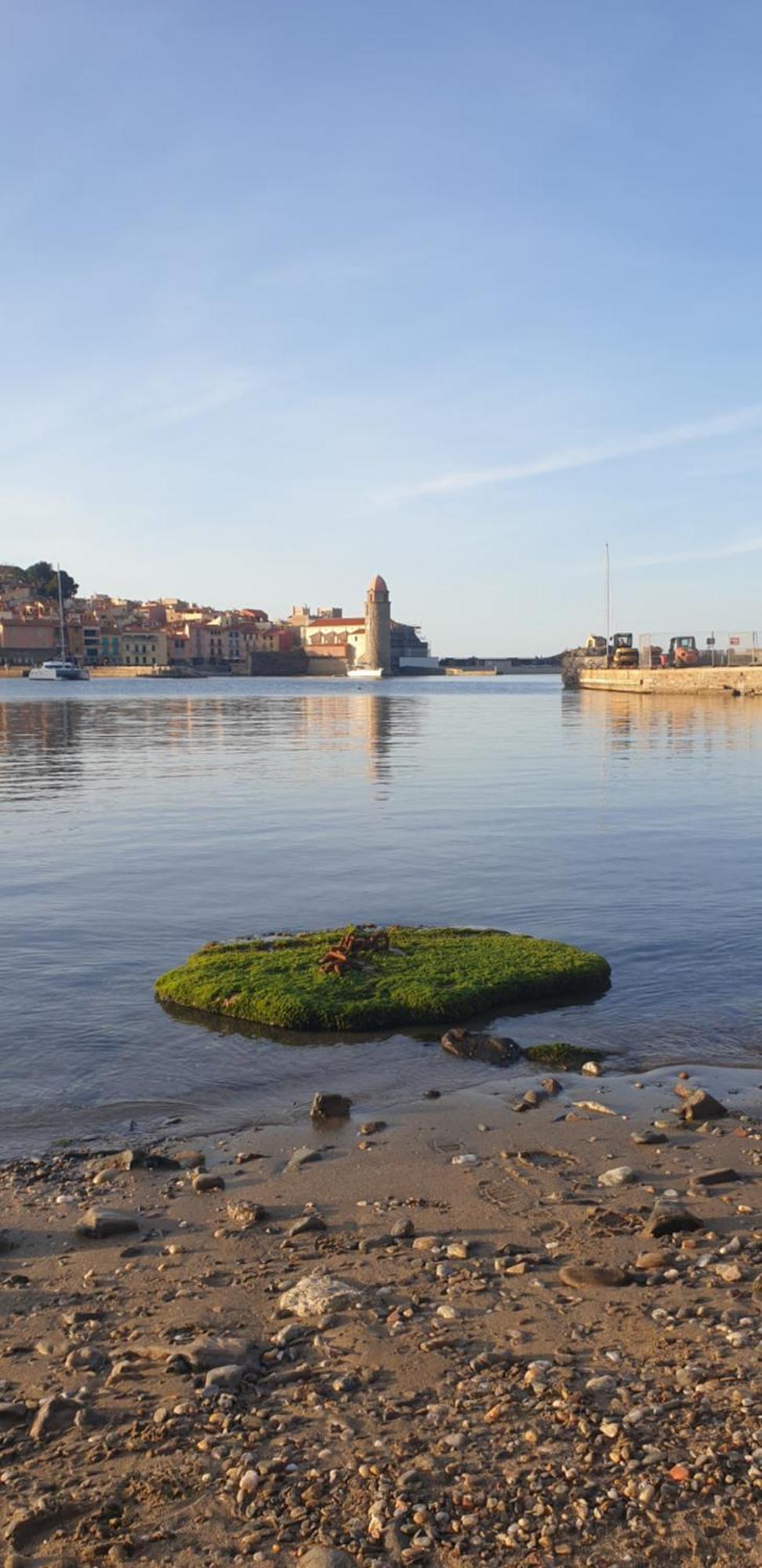 Studio Du Pecheur Apartman Collioure Kültér fotó